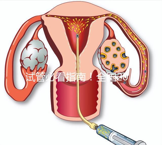 試管必看指南！全國20家試管嬰兒醫(yī)院真實(shí)成功率對(duì)比（附3-8萬費(fèi)用避雷表）