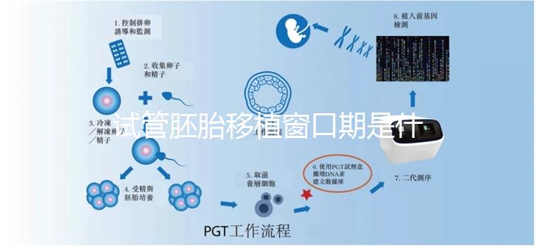 試管胚胎移植窗口期是什么？如何選對時機？
