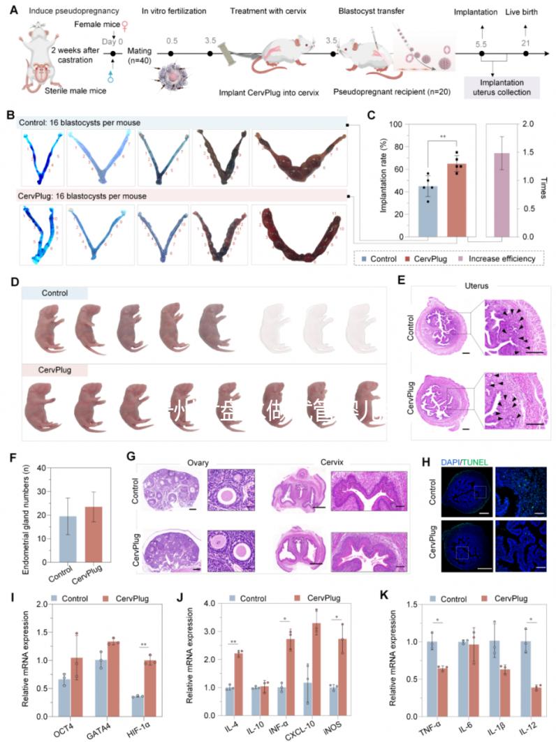 貴州六盤水做試管嬰兒多少錢？能做試管的醫院名單來了