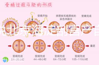 誰說北京海淀剖宮產(chǎn)自付費(fèi)用高,了解2024年生育保險(xiǎn)報(bào)銷比例?
