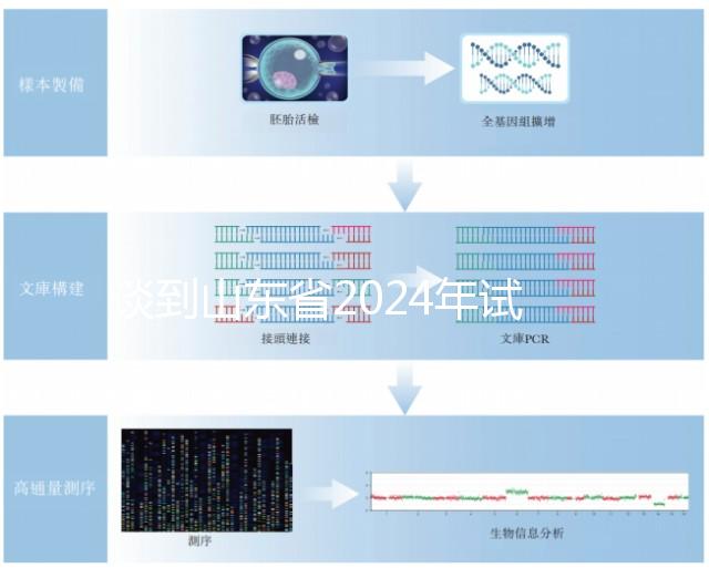 談到山東省2024年試管嬰兒的費用，錢主要花在這些地方