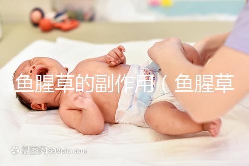 魚腥草的副作用（魚腥草治什么病最厲害）
