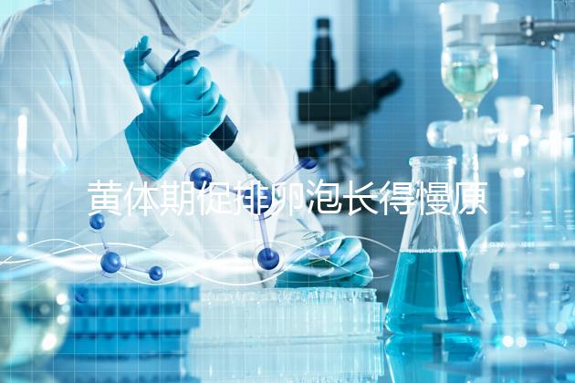 黃體期促排卵泡長得慢原因已找到！4種手段幫你解決