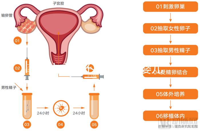 黃山市能不能做試管嬰兒？當?shù)亟忝脗冞@樣說