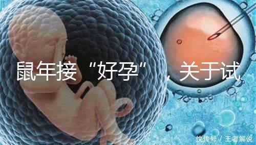 鼠年接“好孕”，關(guān)于試管嬰兒取卵的那些事兒！