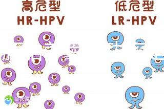 6個胚胎養囊成功率是多大答案在這，能配成3個機會就大