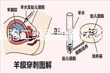 6細胞二級胚胎著床率與養囊成功率解讀，拿不準移植與否戳