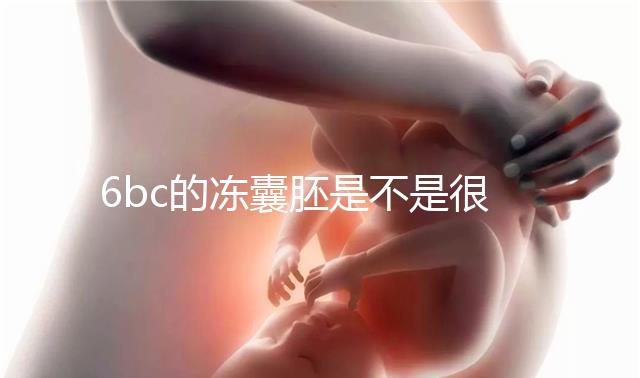 6bc的凍囊胚是不是很差？3分鐘帶你了解胚胎質量和級別