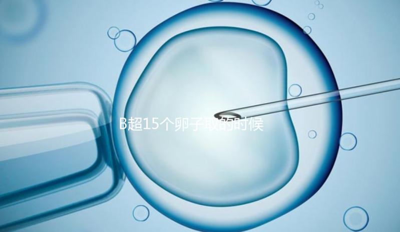 B超15個卵子取的時候只取了8個有原因的卵子，看起來不正常很清楚