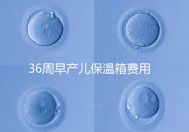 36周早產兒保溫箱費用整理，12天到4斤花不了多少錢