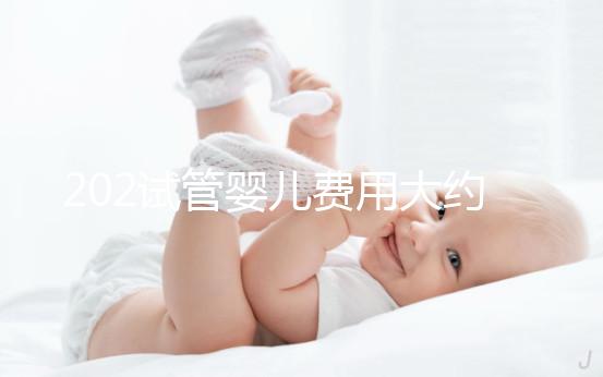 202試管嬰兒費用大約多少（202試管嬰兒費用大約多少錢）