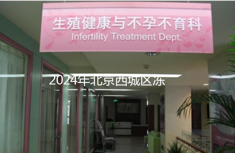 2024年北京西城區(qū)凍卵3個月更新費用！選擇合適的機構(gòu)非常重要！