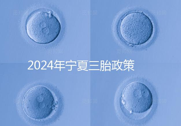 2024年寧夏三胎政策最新規(guī)定來襲，附西夏區(qū)實施時間