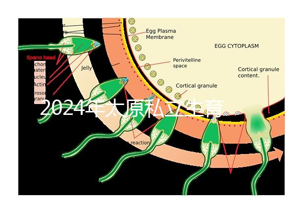 2024年太原私立生育醫院排名公開，上榜機構分娩條件好