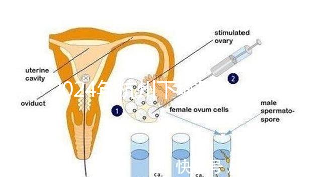2024年杭州下城區(qū)小學(xué)生入學(xué)條件清單，資料不準(zhǔn)備真的上不去