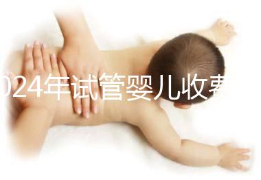 2024年試管嬰兒收費價目表及一／二／三代費用明細概覽