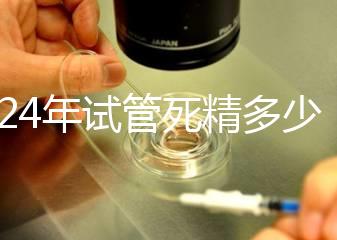 2024年試管死精多少錢？報(bào)銷政策和費(fèi)用都有
