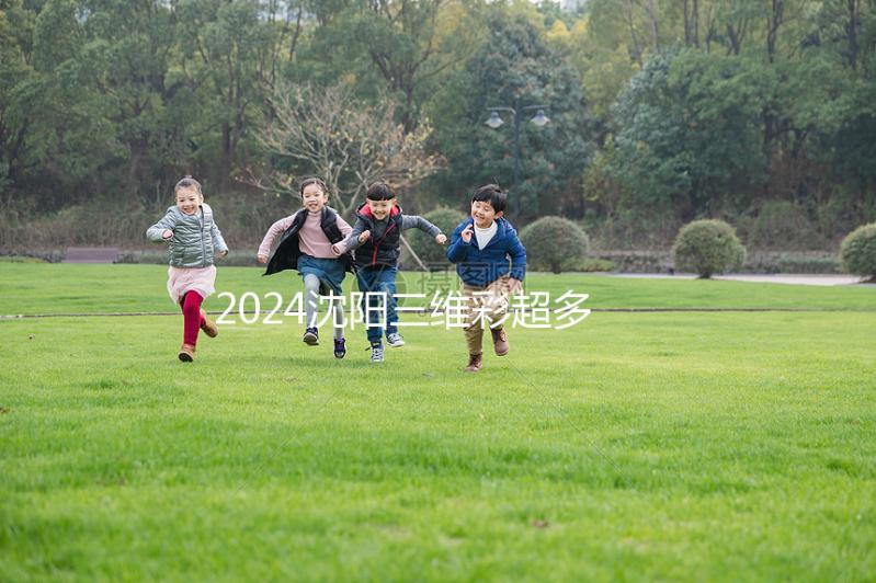 2024沈陽三維彩超多少錢？排名前三的醫(yī)院準(zhǔn)確率不低