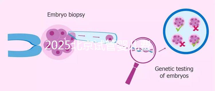 2025北京試管嬰兒費(fèi)用全解析：價(jià)格明細(xì)及省錢(qián)指南