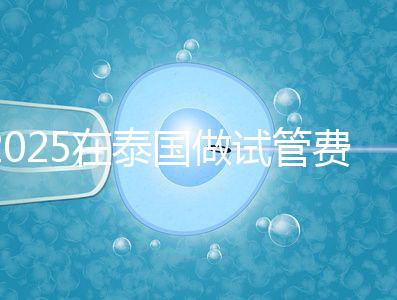 2025在泰國做試管費用預估,助孕一次不到10萬