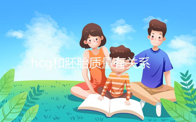hcg和胚胎質量有關系？hcg低并不一定是胚胎不好！